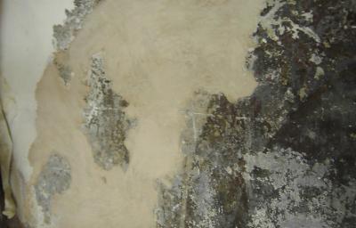 Detalle proceso 