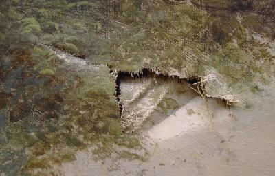 Detalle desgarro