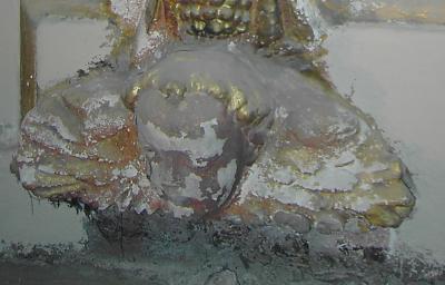 Detalle inicio 